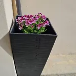 Konukevi Gile Tırnova