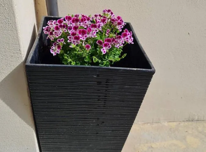 Guest house Gile Veliko Tarnovo